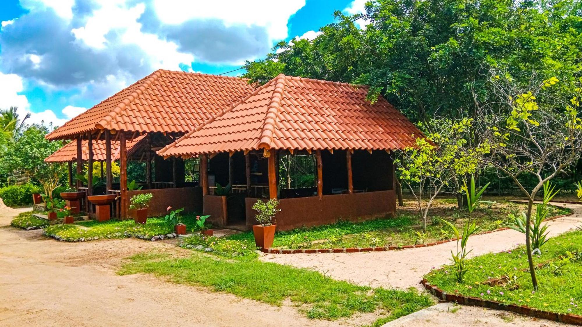 Ceylon Amigos Eco Resort Сигирия Экстерьер фото