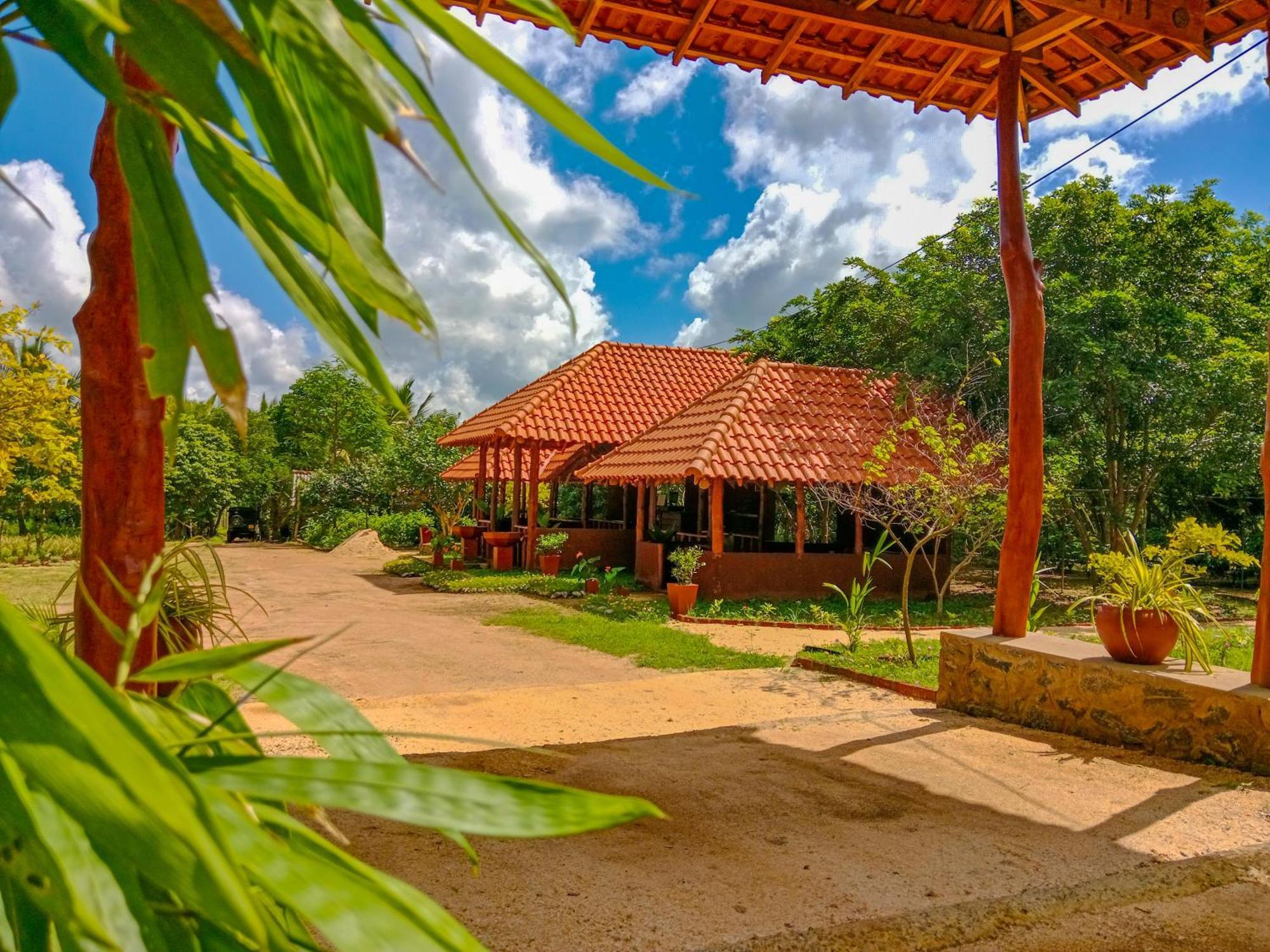 Ceylon Amigos Eco Resort Сигирия Экстерьер фото